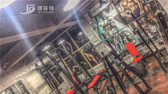伊拉克客户的健身房图片 博菲特健身器材案例