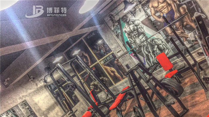 伊拉克客户的健身房图片 博菲特健身器材案例